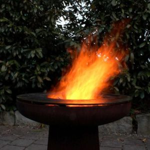 Yagoona wood fire ring grill barbecue Firepit 80cm