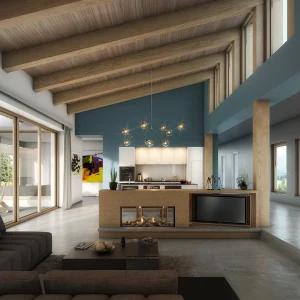 ESCEA DS DOUBLE SIDED FIREPLACE HAUS COLLECTIVE BRISBANE GOLD COAST SUNSHINE COAST